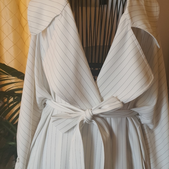 Long Trench Coat - Picture 3 of 4